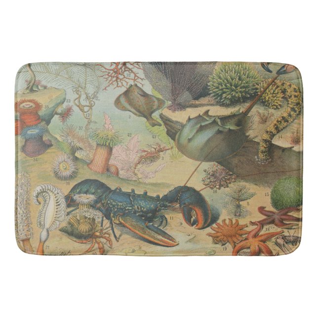 Retro Vintage Meeresbiologie Badematte (Vorderseite)