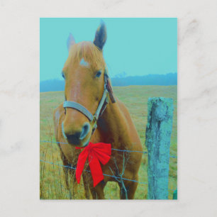 Retro Weihnachtspferd Feiertagspostkarte