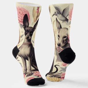 Retro Xoloitzcuintle Nahtlose Illustration Socken