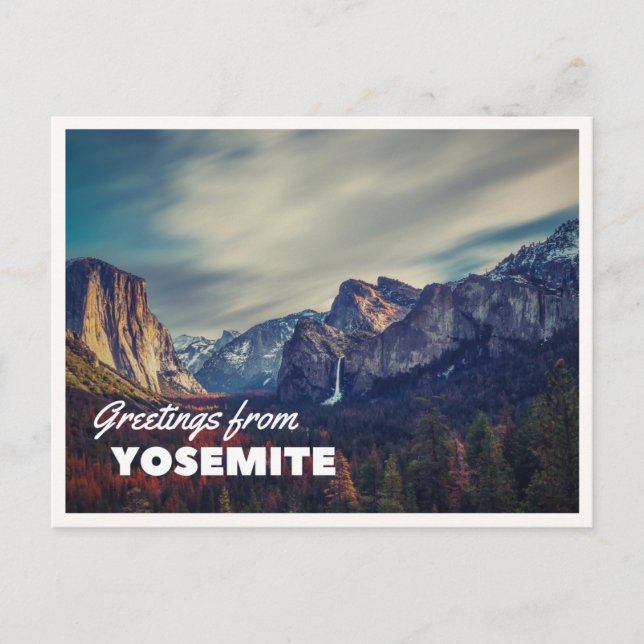 Retro-Yellowstone-Grüße-Büffel-Weide-Decke Postkarte (Vorderseite)