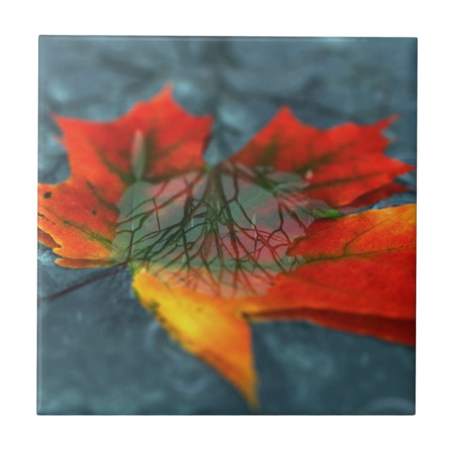 Retroreflektion Dekorieren Tile / Trivet Fliese (Vorderseite)