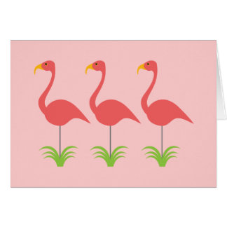 Rétros Flamants roses roses de corail pour toute