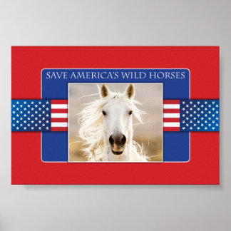Rett Amerikas Wild Horses Poster