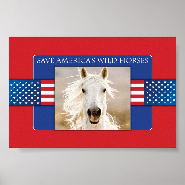 Rett Amerikas Wild Horses Poster (Vorne)