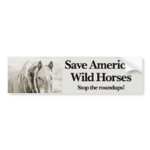 Rett Amerikas wilde Pferde - Stoppt die Roundups!