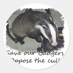 Rett britische Badgers, wende dich gegen die Badge Runder Aufkleber