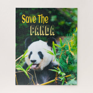 Rett den Panda
