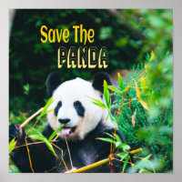 Rett den Panda