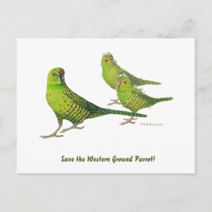 Rett den Western Ground Parrot! Postkarte
