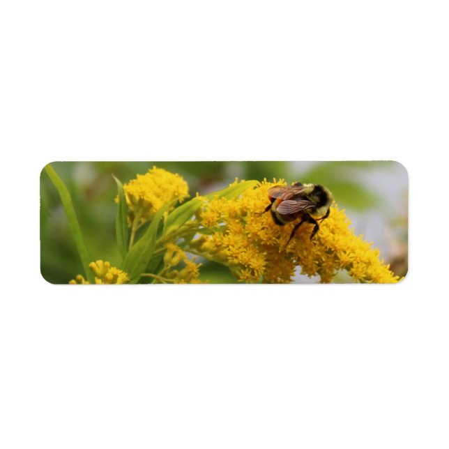 Rett der Bienen (Vorne)