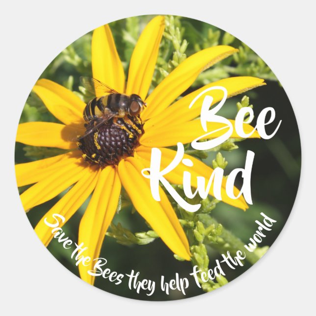 Rett der Bienen "Bee Kind" Runder Aufkleber (Vorderseite)