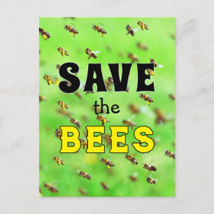 Rett der Bienen Postkarte