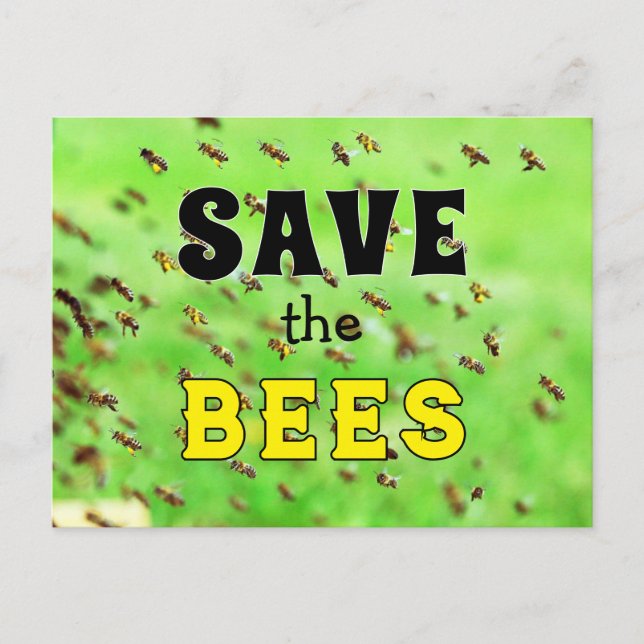 Rett der Bienen Postkarte (Vorderseite)