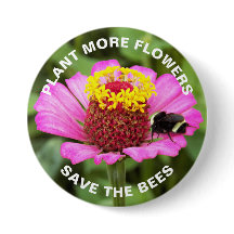 Rett der Bienen Rosa Zinnia-Blume