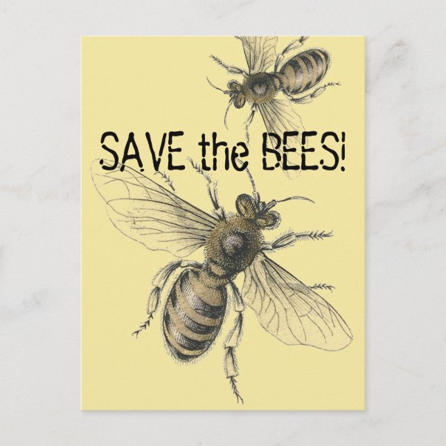 Rett der Bienen Vintage Bienenbilder Postkarte (Vorderseite)