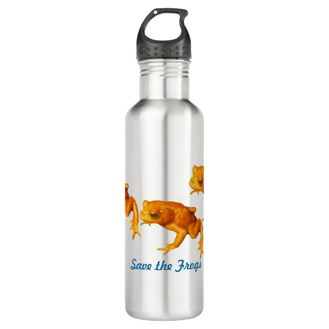 Rett der Frösche Bright Orange ein ausgestorbener  Edelstahlflasche (Vorderseite)