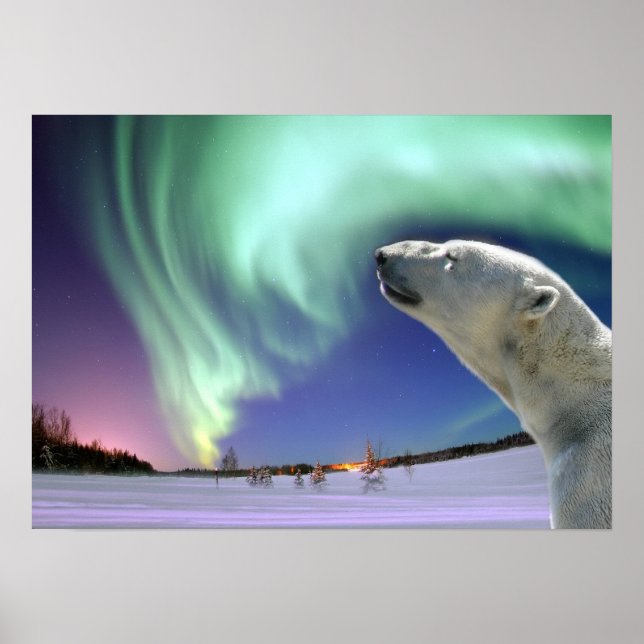 Rett der gefährdeten Polarbären Poster (Vorne)