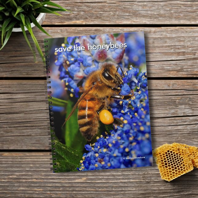 Rett der Honigbienen, die Kalifornien Lilac pollin Notizblock (Honeybee Pollinating the California Lilac Journal Cover Photo)