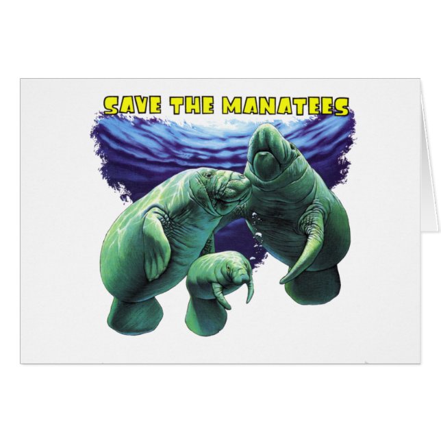 Rett der Manatees (Vorderseite (Horizontal))