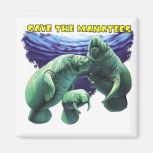 Rett der Manatees Magnet
