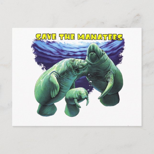 Rett der Manatees Postkarte (Vorderseite)