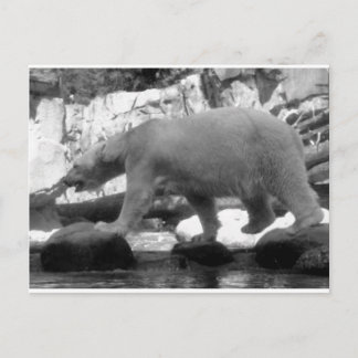 RETT DER POLAR-BÄREN POSTKARTE