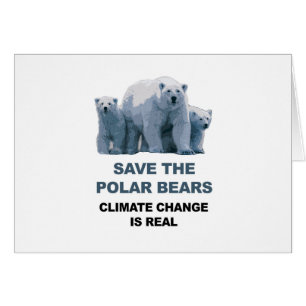 Rett der Polarbären
