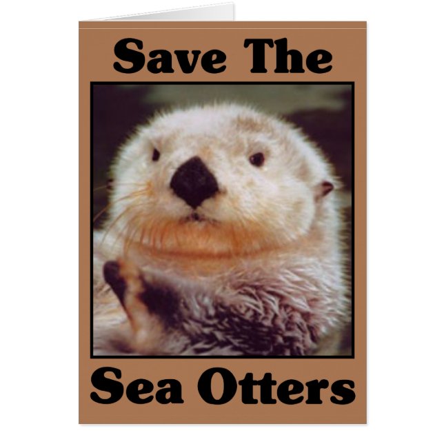Rett der Sea Otters (Vorne)