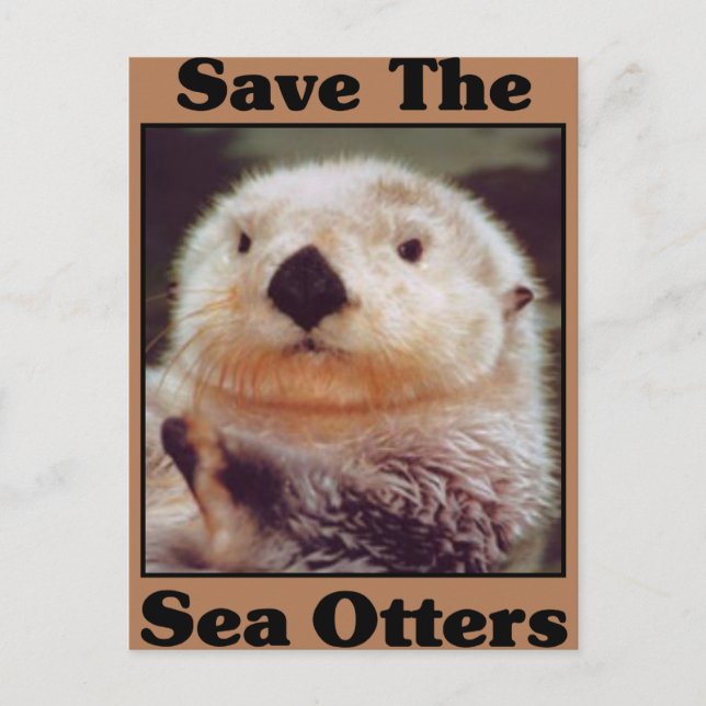 Rett der Sea Otters Postkarte (Vorderseite)