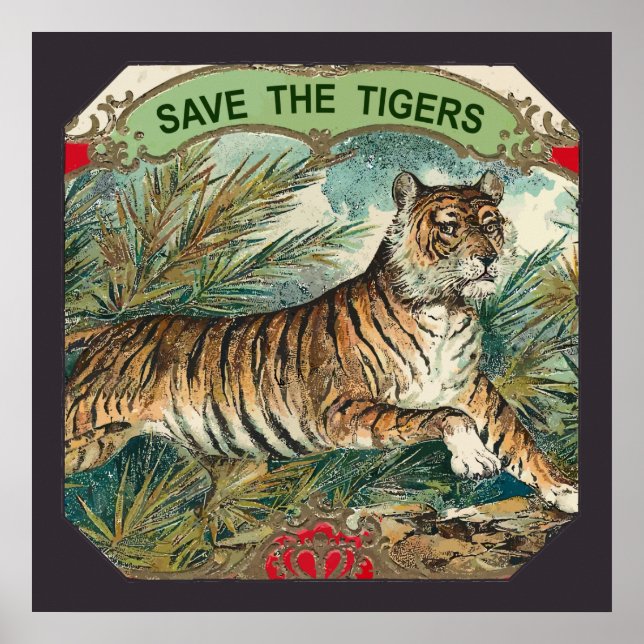 Rett der Tiger Poster (Vorne)