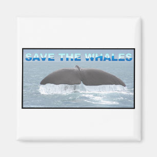 Rett der Wale Magnet