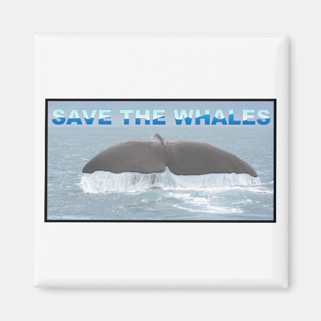 Rett der Wale Magnet (Vorne)