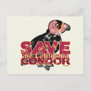 Rett des California Condor Postkarte