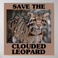 Rett des getrübten Leoparden
