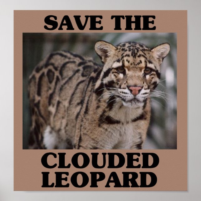 Rett des getrübten Leoparden Poster (Vorne)