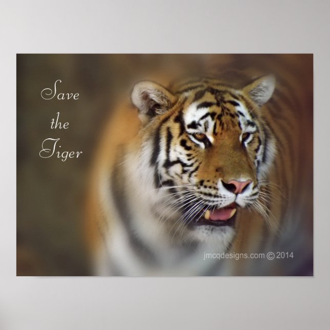Rett des Tiger Amur Sibirien Tiger Poster (Vorne)