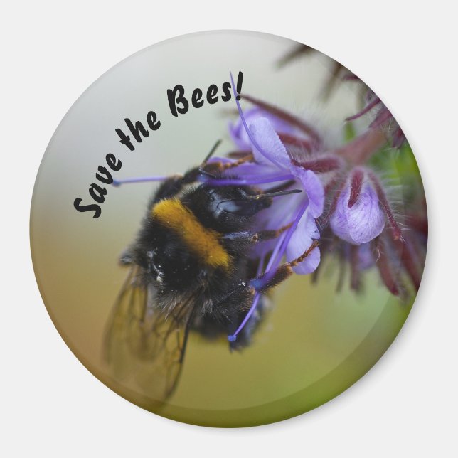 "Rett die Bienen!" Magnet (Vorne)