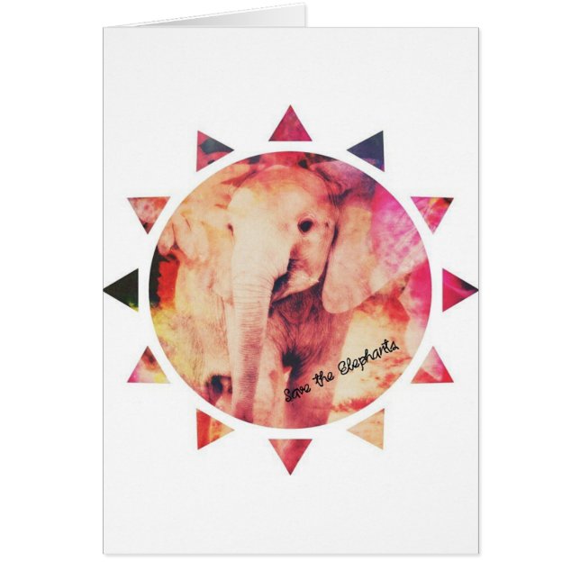 Rett die Elefanten, Baby Elephant Sunshine (Vorne)