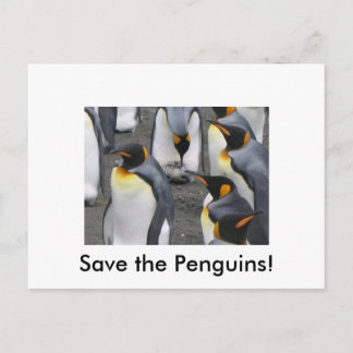 Rett die Pinguine! Postkarte