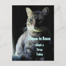 Rett ein Leben! Adoptier dir einen Helfer! Postkarte