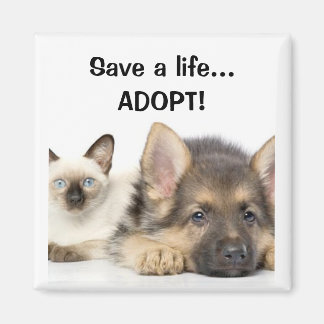 Rett ein Leben... ADOPTIER! Magnet