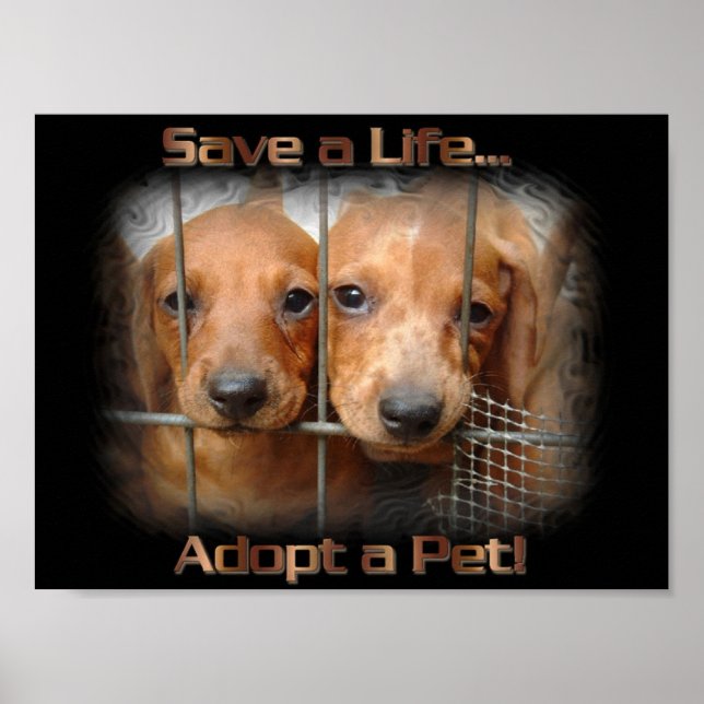 Rett ein Leben Adoptiere ein Pet-Poster Poster (Vorne)