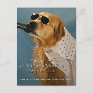 Rett Off-Leash Dog Walking Kongressabgeordnete Pel Postkarte