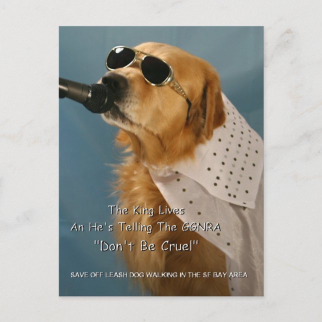 Rett Off-Leash Dog Walking Kongressabgeordnete Pel Postkarte (Vorderseite)