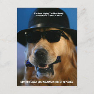 Rett Off-Leash Dog Walking Kongressabgeordnete Pel Postkarte
