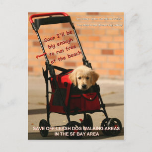 Rett Off-Leash Hund Walking Kongressabgeordnete Pe Postkarte