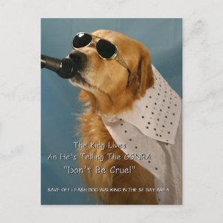 Rett Off-Leash Hund Walking Senator Feinstein Postkarte