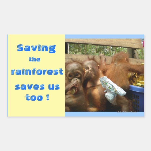 Rett Regenwald und Niedliches Baby Orangutans Rechteckiger Aufkleber (Vorderseite)