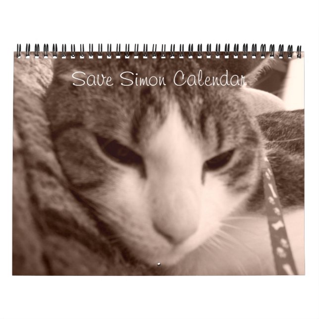 Rett Simon Calendar Kalender (Titelbild)