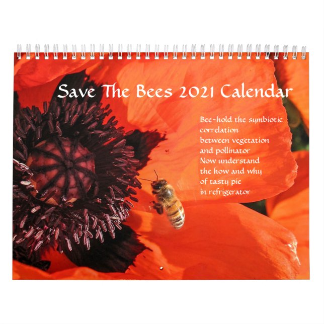 Rett The Bies 2020 Calendar by poetphoto Kalender (Titelbild)